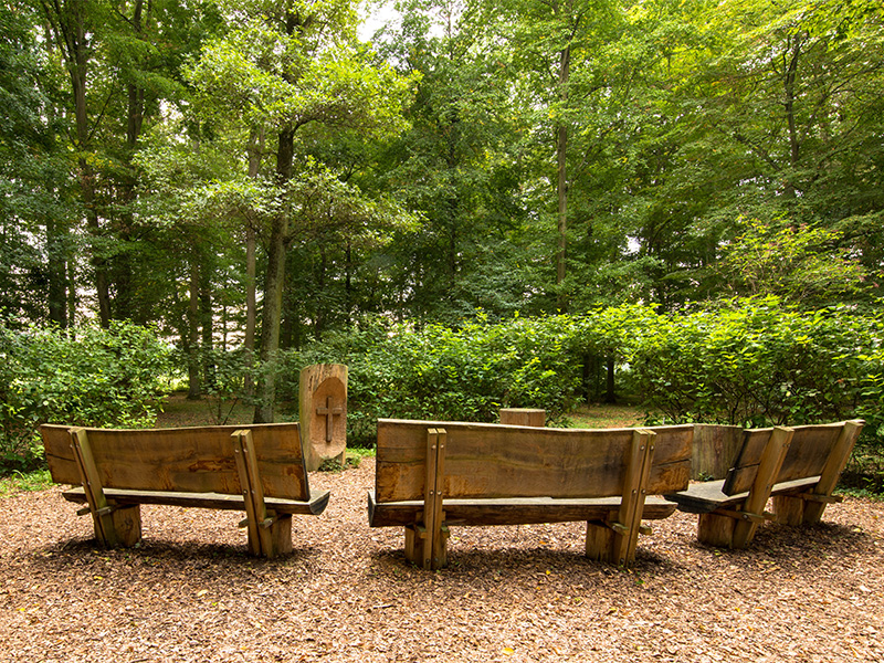 Altar mit Holzbänken im Bestattungswald, umgeben von Bäumen und Lichtungen – Symbol der Waldbestattung.