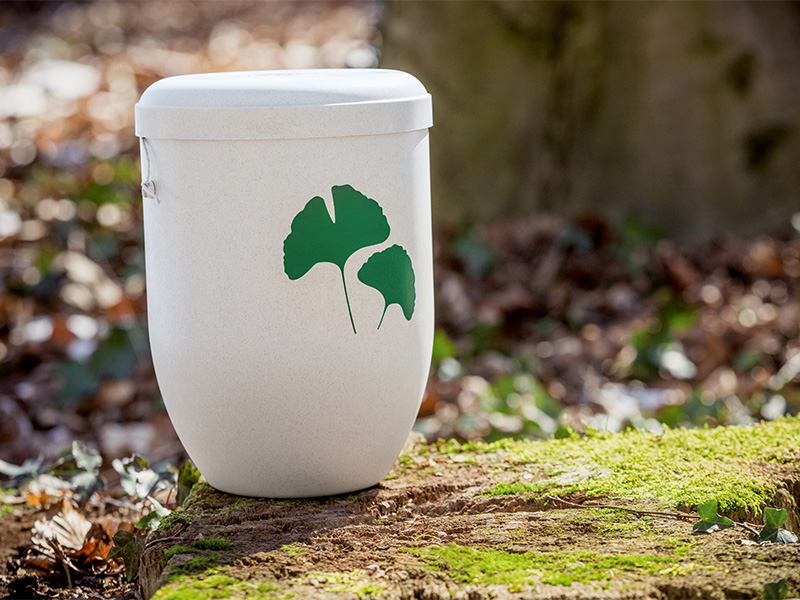 Weiße Urne mit grünem Ginkgo-Blattmotiv der FriedWald GmbH steht im Wald auf Baumstumpf – Symbol für naturverbundene Bestattung.