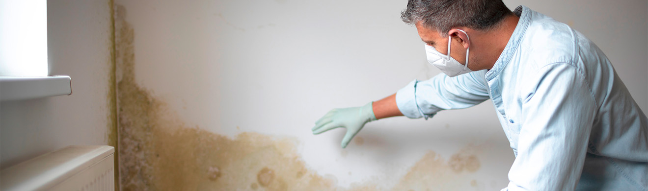 Mann mit Schutzmaske und Handschuhen prüft Schimmelbefall an weißer Wand – professionelle Schimmelpilzbeseitigung in Uelzen.
